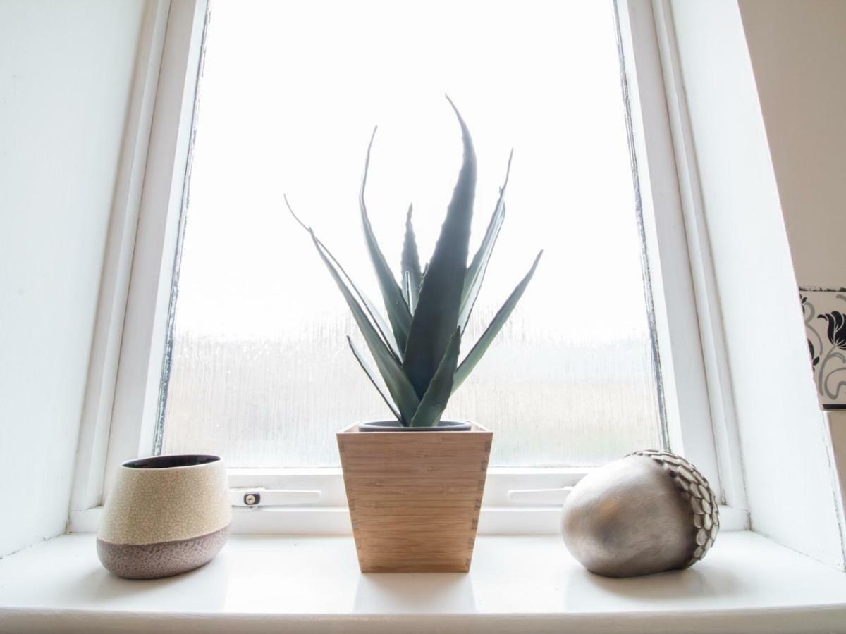Bright & Tranquil Apartment Near City Centre With Free Parking! Edinburgh Eksteriør billede